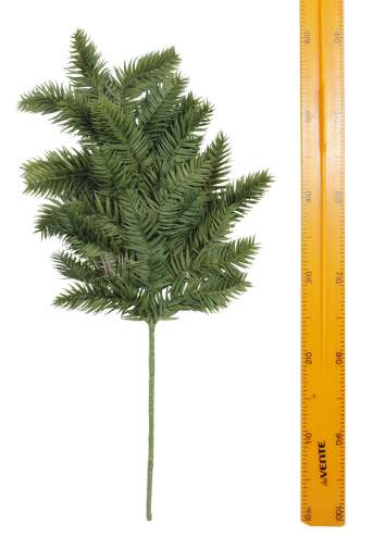 Ветка тиса DGQX27